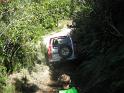 2011-02-19 Runanga 063